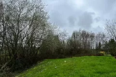 Défrichage - Remise au propre du terrain