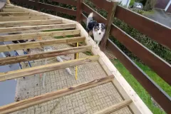 1779fee5-4fbe-4226-99f9-048b17e7e8d8-669a5c2963f5e